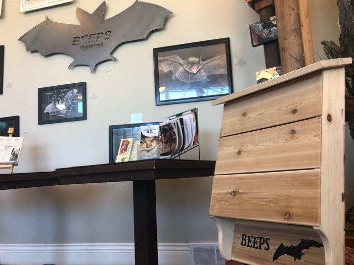 BEEPS Bat house in Peachland's Visitor Centre 