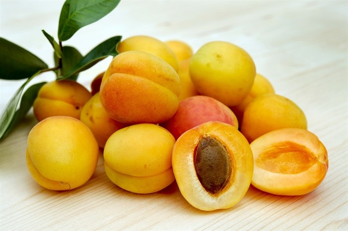 There won't be any apricots this summer. 