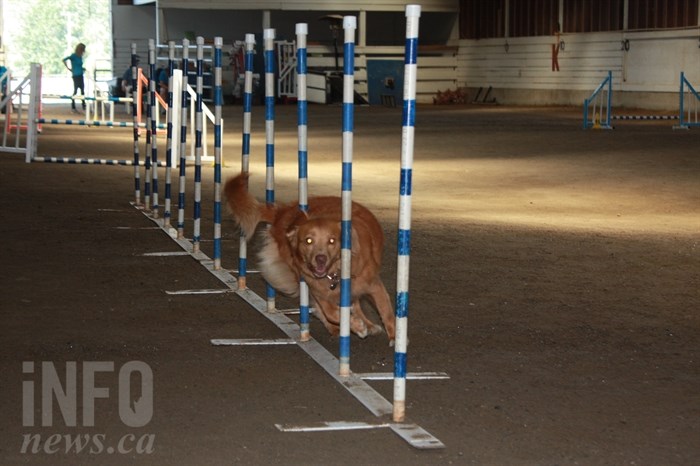 Speed and maneuverability is key when running through the vertical poles. 