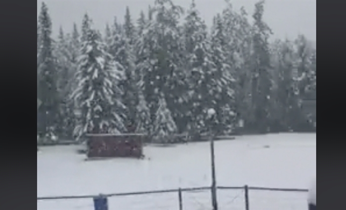 IN VIDEO: Parts Of Alberta Get Heavy Snowfall Just Ahead Of Summer ...