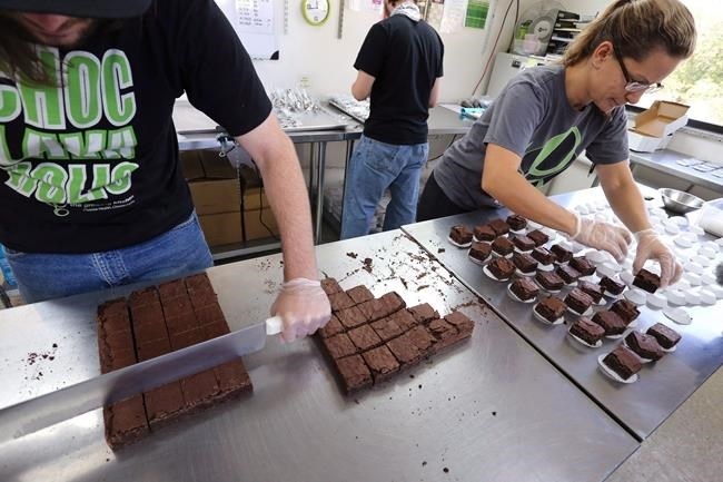 Smaller-dose pot-infused brownies are divided and packaged at The Growing Kitchen in Boulder, Colo. on Sept. 26, 2014. Canadians looking to enjoy soon-to-be-legalized pot-infused edibles could get hit with higher insurance premiums — depending on the size of their appetite.