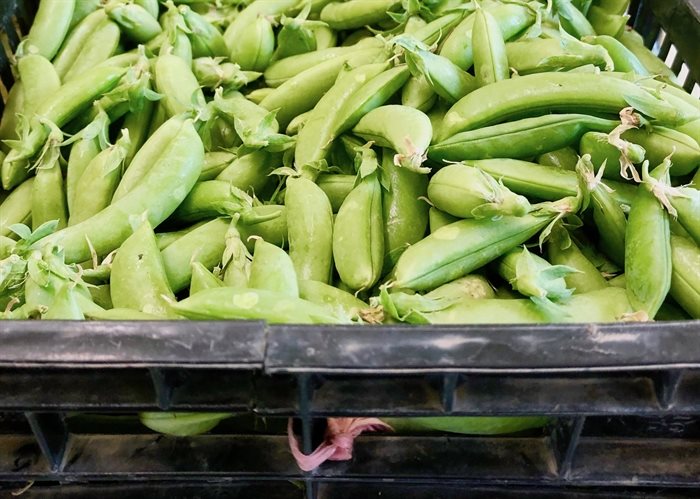 Peas galore are available at the markets right now!