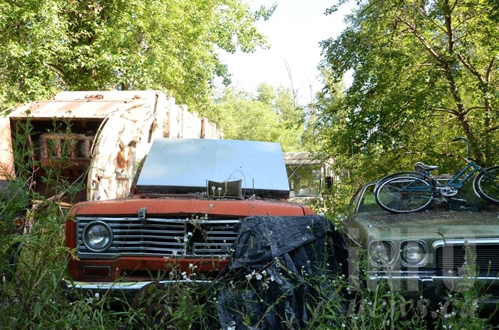 Two from the dozens of rusty old cars on the site.