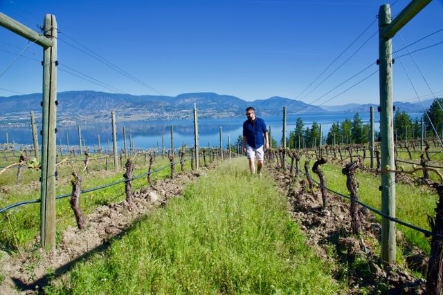 CedarCreek winemaker Taylor Whelan amongst the spring vines
