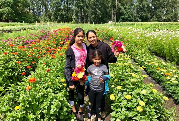 Rupi Bhangu with her two daughters Prabhnoor (l) and Jasleen in the zinnia patch on their farm