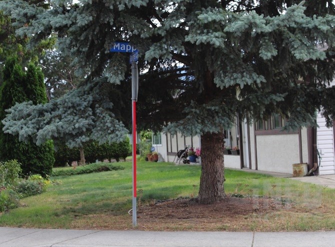 Attached to the stop sign, above, is the street name (Mappin). Should the tree be trimmed so the sign is easier to see?