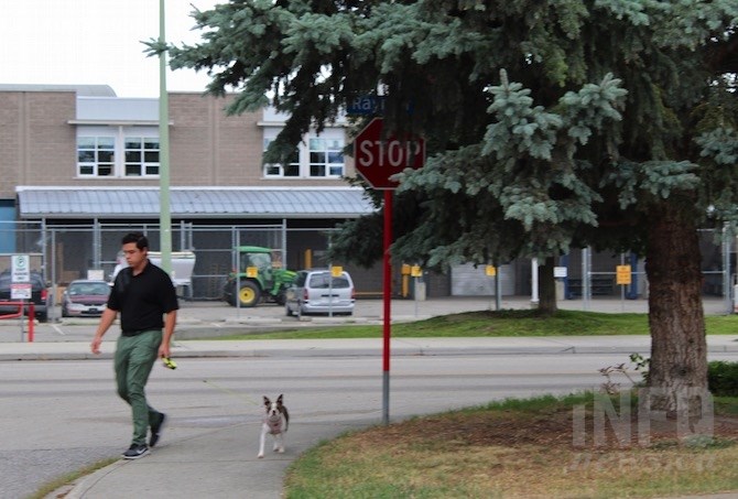 At what point should this tree be trimmed before it totally blocks the stop sign?