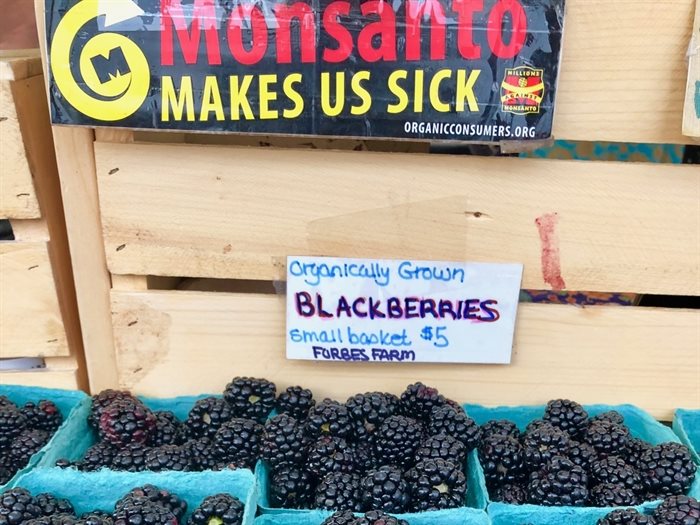 Beautiful certified organic blackberries are one of the many fruits and vegetables that the Forbes brothers grow