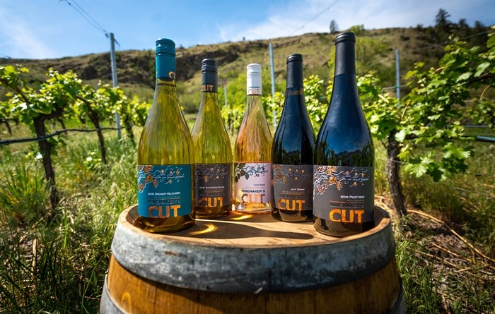 Winemaker's CUT - wines raised on classical music