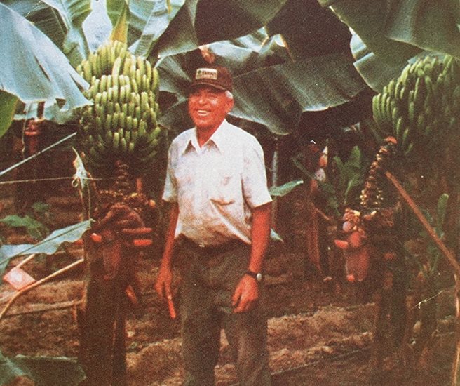 Joe Fernandes stands in his Fernandes Banana Jungle in Osoyoos in this postcard image. The bananas were a tourist attraction for about 10 years between 1985 and 1995.