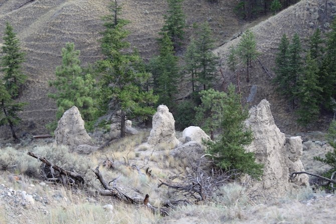 Some of the hoodoos near the balancing rock.