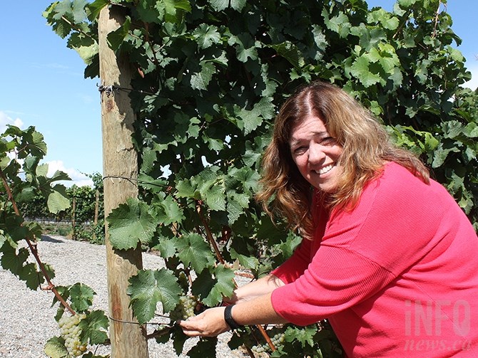 Wild Goose Vineyards' marketing manager Leslie Matheson checks out some nearly ripe riesling at Wild Goose Vineyards. Grape harvest of sparkling wine varieties is already under way in the Okanagan.