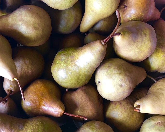 The Day family also specializes in growing pears