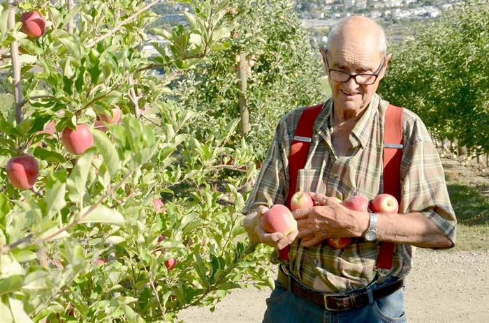Bob Davison collects apples in the orchard he's farmed for over seven decades.