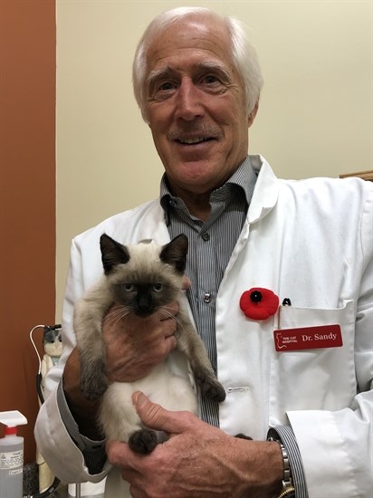 Dr. Sandy Jamieson from the Cat Hospital of Kamloops with one of his tiny patients.