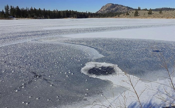 Normally, hoar frost blankets an area or surface. On Inks Lake, it appeared to be more spaced out.