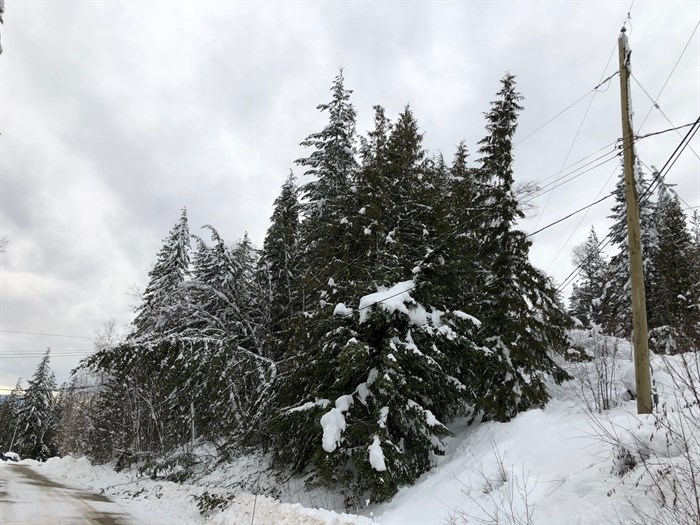 The heavy wet snow left behind by a winter storm in the southern Interior Jan 2, 2020, played havoc with power lines in the region.