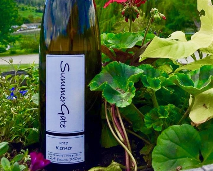 Summergate Winery's Kerner: Rich, tropical fruit aromas. Flavours of juicy guava and pineapple with a buttery mid-palate. Zesty lemon-lime finish. Made from grapes in transition to Certified Organic.