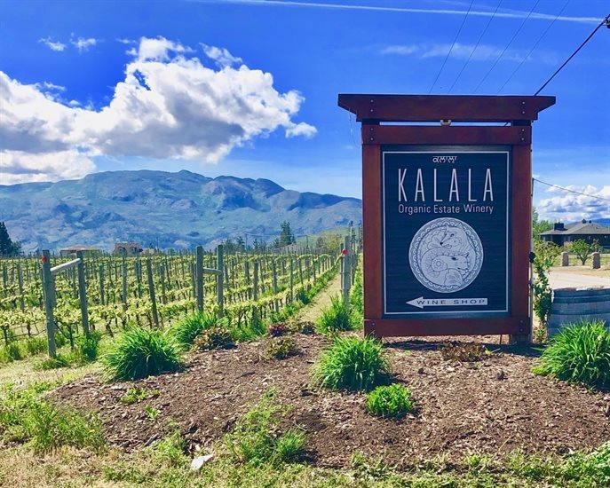 Kalala Organic Estate Winery creates a beautiful Gewürztraminer.