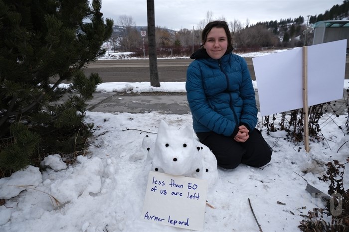 Hanna Vouladakis built a critically endangered leopard as part of a climate change snowman protest.
