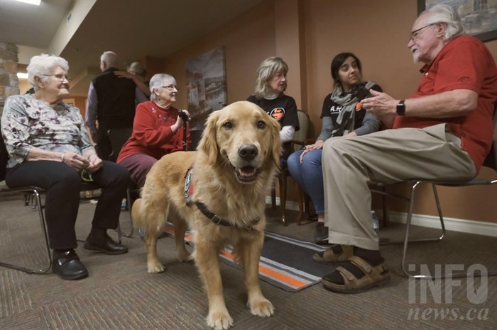 Dougall the golden retriever stands in the middle of a crowd of Missionwood Retirement Resort residents and UBCO students.