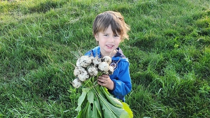 Levon Marr, son of Jordan Marr of Unearthed Organics, shows off some white turnips. Unearthed offers fresh certified organic delivery to your door.