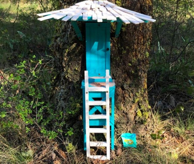 One of many fairy doors someone has been installed at the base of trees in Rose Valley Regional Park in West Kelowna.