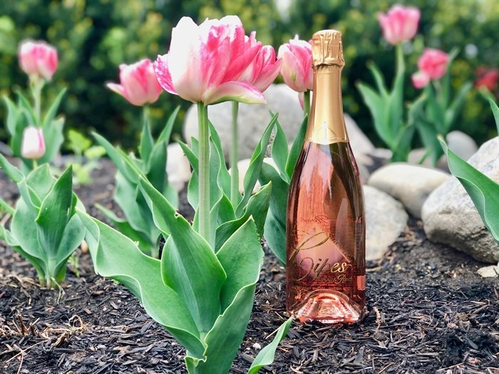 Cipes beautiful Brut Rosé makes every occasion special - and it is just so pretty!