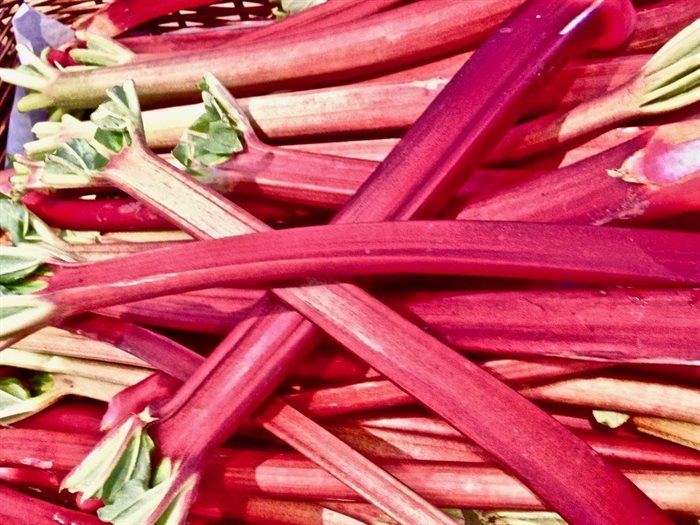 Rhubarb is one of the first to arrive from local gardens and farms.