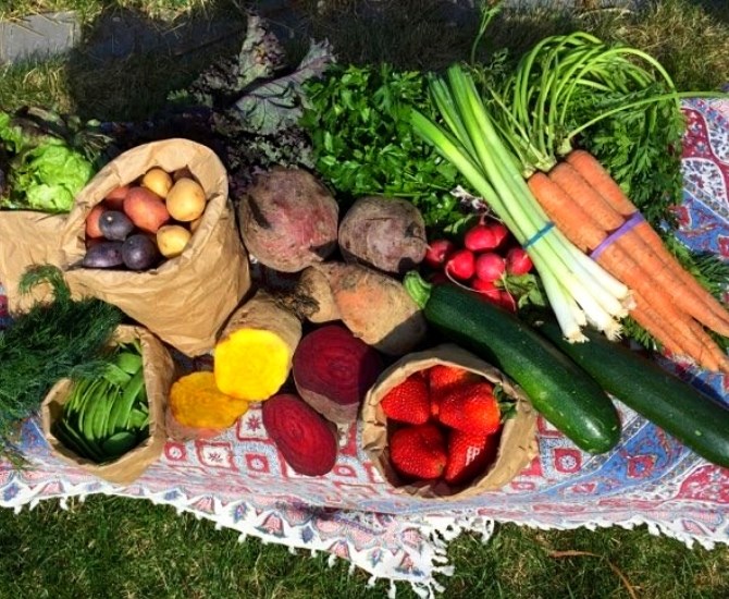 Fresh vegetables from Winterstead Farms, Kamloops.