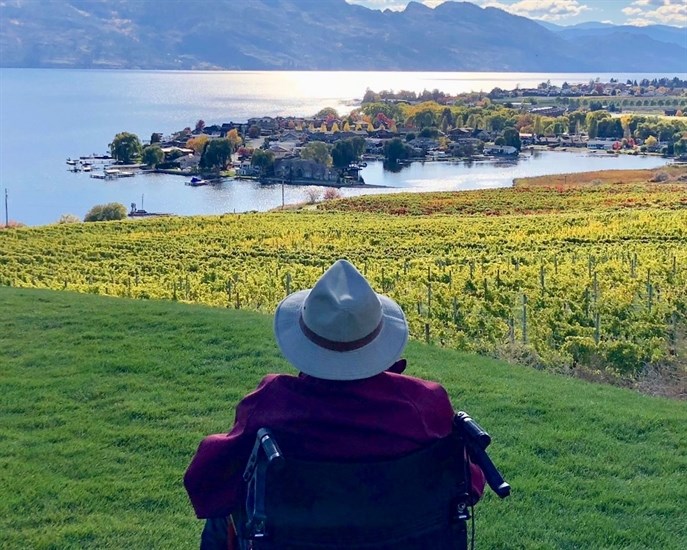 Dick Stewart overlooking his legacy of land at Quails' Gate Estate Winery in West Kelowna.
