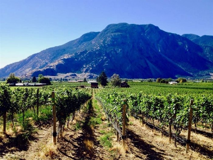 The beautifully dramatic backdrop of the Similkameen Valley behind Clos du Soleil