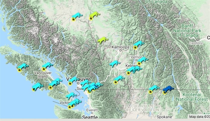 WARP records Cougar sightings across the province. 