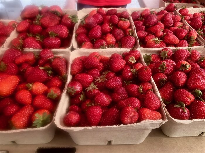 Strawberry season has begun!