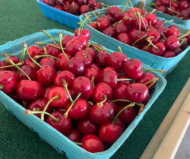 Several south Okanagan fruit stands began selling the first Okanagan cherries of the season today, June 11, 2020.