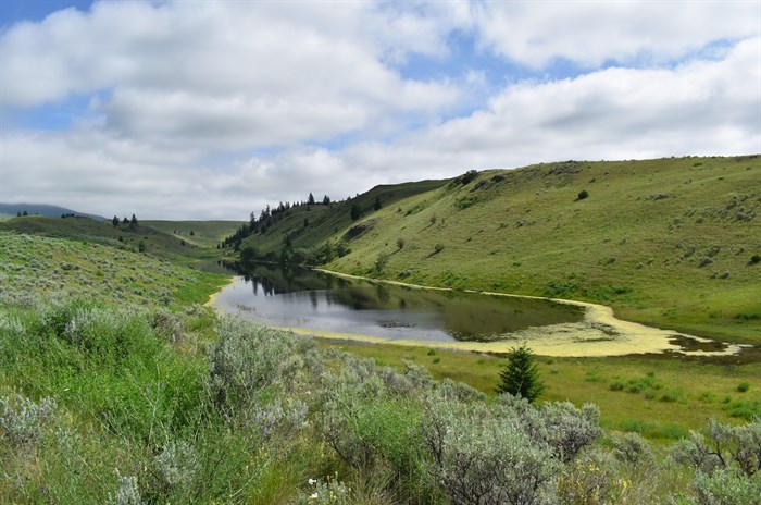 Long Pond, Lac du Bois Grassland Protected Area, 2020.