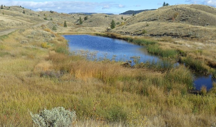Saline pond, Lac du Bois Protected Area, 2019.