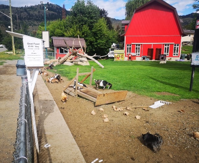 Vandals broke the food box and threw the bags of pellets into the petting zoo enclosure, which was discovered the morning of July 12.