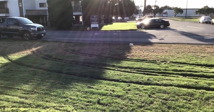 Padley's lawn was damaged after a semi-truck did a u-turn on her property.