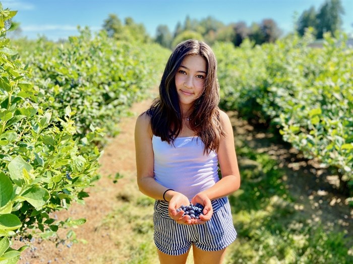 Izzy Lirag picks a perfect pail at Driedeger Farms u-pick in Langley.