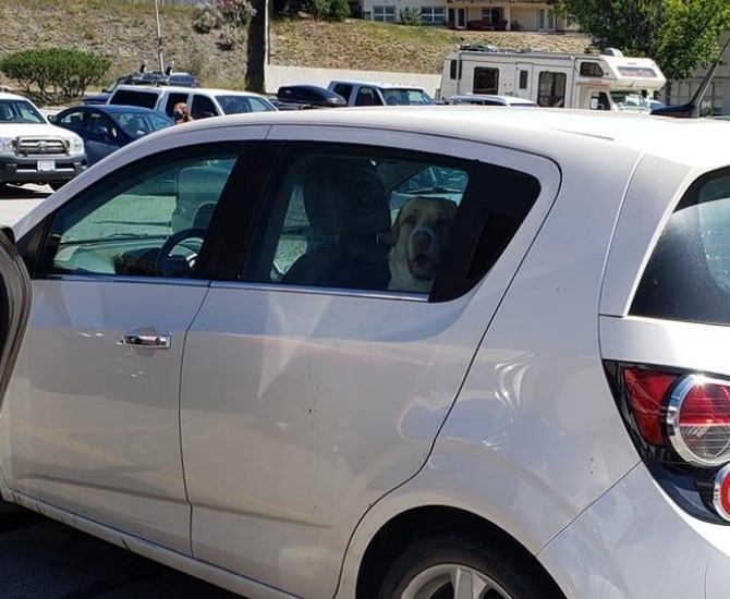 The two dogs were spotted locked in a hot car at 10:50 a.m. July 27 at the Canadian Tire in Kamloops.