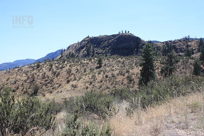 Is the South Okanagan a true desert? Experts say there's too much precipitation, but the area does have some commonalities, sharing desert plants and animals.
