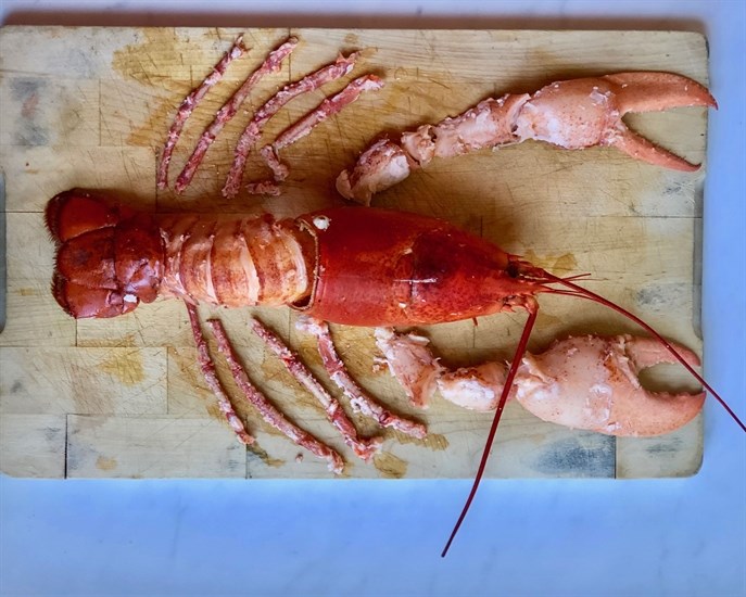 Shelling a lobster is a careful art. Try to be patient and remove pieces whole.
