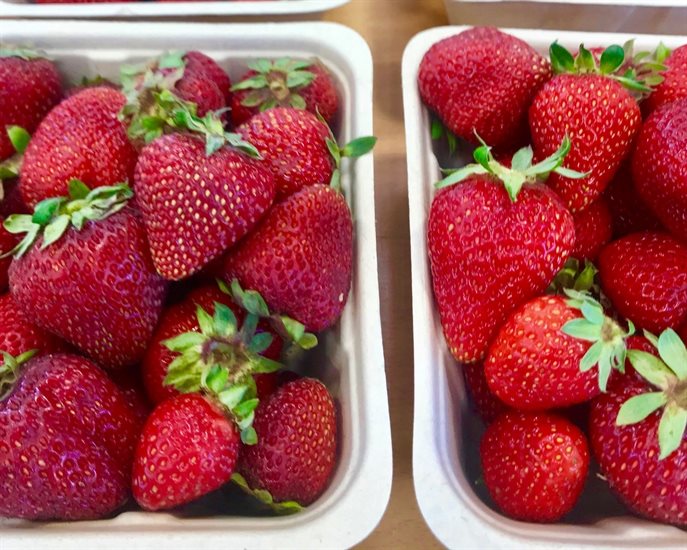 Sweet local strawberries are always a treat.