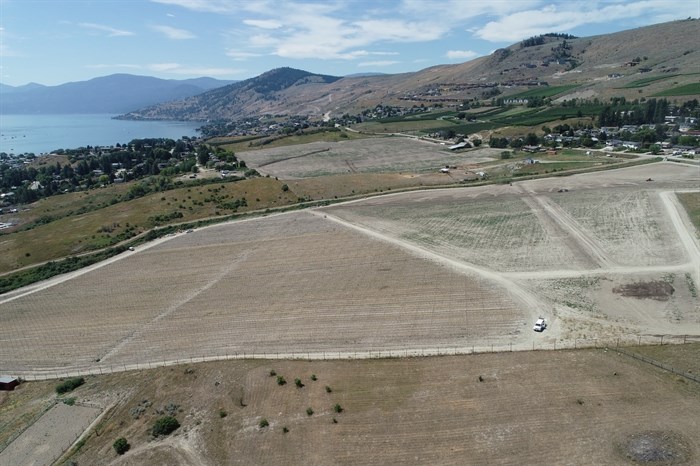 Grapes will soon be planted at Markus Frind's new vineyard off Bella Vista Road, Vernon