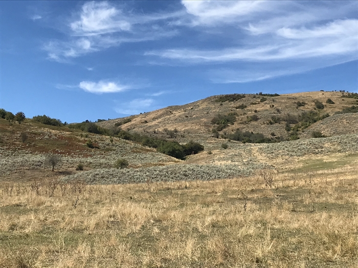 North Okanagan conservation group wants O'Keefe Range protected ...