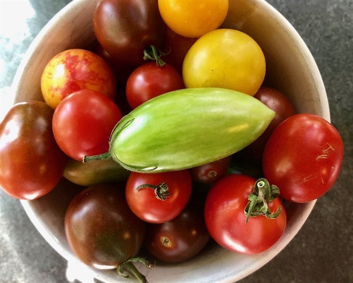 Heirloom tomatoes are at the end of their season now so grab them if you see them at the farmers market!
