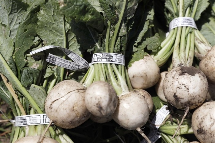 FILE - In this Monday, June 10, 2019, file photo, Hakurei turnips sit in a field after being harvested on Andrew Dunham's 80-acre organic farm, in Grinnell, Iowa. Tomatoes and turnips are among the winners for US seed company sales. In the year of the new coronavirus and new gardeners in droves trying to grow their own vegetables, tomatoes are still king. And in a twist, the respect-seeking turnip actually turned some heads.