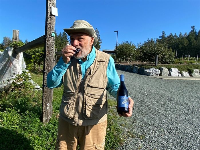 Blue Grouse Estate Winery owner Paul Brunner eating Gamay grapes on his stunning Cowichan Bay vineyard.