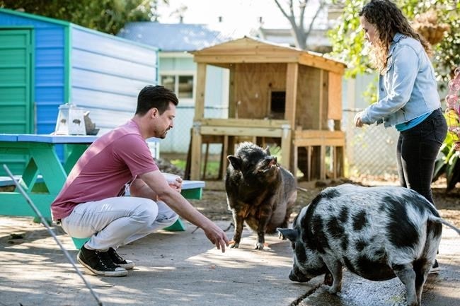 This image released by CBS All Access shows Dan Illescas, left, and Tracey Stabile of the Central Texas Pig Rescue in a scene from the CBS All Access docuseries 